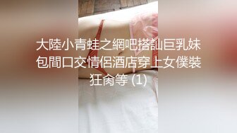 大陸小青蛙之網吧搭訕巨乳妹包間口交情侶酒店穿上女僕裝狂肏等 (1)