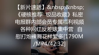 MEYD-506 種付け代行をこっそりと旦那の弟に頼む 孕みたがり中出し欲求妻の不貞 AIKA