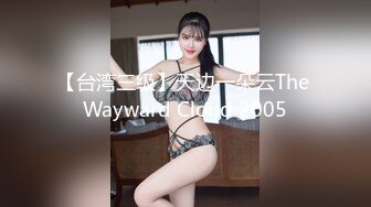 【台湾三级】天边一朵云The Wayward Cloud 2005