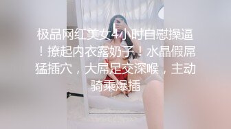 极品网红美女4小时自慰操逼！撩起内衣露奶子！水晶假屌猛插穴，大屌足交深喉，主动骑乘爆插