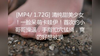 [MP4/ 245M] 国产TS系列超美的菲菲黑丝透连体衣与直男啪啪激情后入