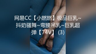 网易CC【小燃燃】极品巨乳~抖奶骚舞~弯腰吊乳~巨乳超弹【74V】 (3)