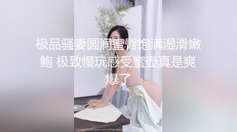 极品骚妻圆润蜜臀饱满湿滑嫩鲍 极致慢玩感受蜜壶真是爽爆了