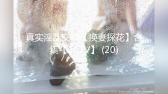 真实淫乱交换【换妻探花】合集【207V】 (20)