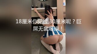 胖妞 来回抽插