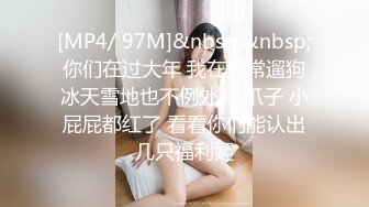 [MP4/ 97M]&nbsp;&nbsp; 你们在过大年 我在日常遛狗 冰天雪地也不例外 小爪子 小屁屁都红了 看看你们能认出几只福利姬