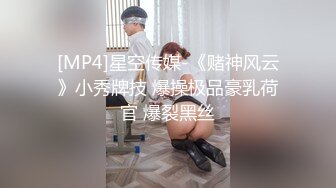 [MP4]麻豆傳媒 MDSR0003-2 性婚姻生活 EP2 模糊的感情界定 宋南伊