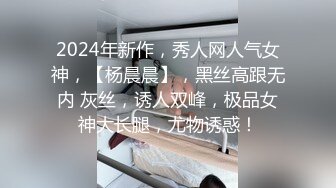 2024年新作，秀人网人气女神，【杨晨晨】，黑丝高跟无内 灰丝，诱人双峰，极品女神大长腿，尤物诱惑！