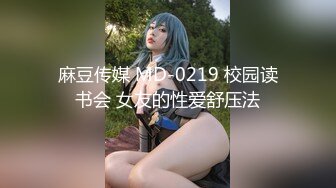 麻豆传媒 MD-0219 校园读书会 女友的性爱舒压法