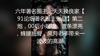 【极品女神❤️超级炸裂】顶级网红摄影大神『盗梦者+魔都+孙曼+王动』众色影大神极品女神 新春开操 高清720P原版