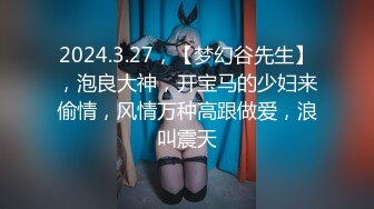 2024.3.27，【梦幻谷先生】，泡良大神，开宝马的少妇来偷情，风情万种高跟做爱，浪叫震天