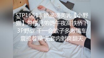 租房被拍，小伙子有一个让人羡慕的温顺女友，肉肉好身材喊着鸡巴趴在身上，玩着手机不时抽插做爱真性福