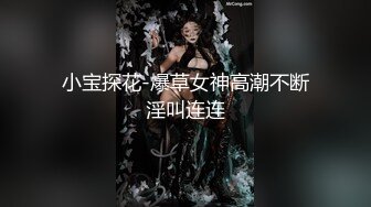 小宝探花-爆草女神高潮不断淫叫连连