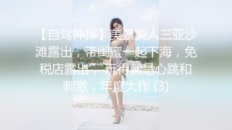 小宝寻花艺术系小姐姐