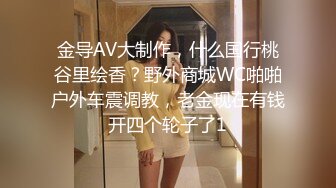 金导AV大制作，什么国行桃谷里绘香？野外商城WC啪啪户外车震调教，老金现在有钱开四个轮子了1