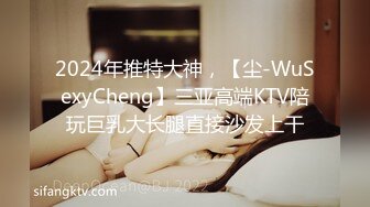 2024年推特大神，【尘-WuSexyCheng】三亚高端KTV陪玩巨乳大长腿直接沙发上干