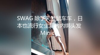 SWAG 除了天竺鼠车车，日本也流行女生用内内绑头发 Minicat