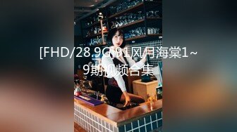 [FHD/28.9G]91风月海棠1~9期视频合集