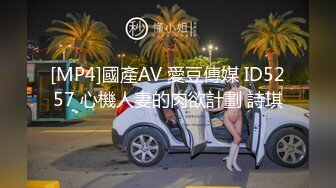 [MP4]國產AV 愛豆傳媒 ID5257 心機人妻的肉欲計劃 詩琪