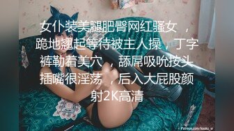 女仆装美腿肥臀网红骚女 ，跪地翘起等待被主人操，丁字裤勒着美穴 ，舔屌吸吮按头插嘴很淫荡 ，后入大屁股颜射2K高清