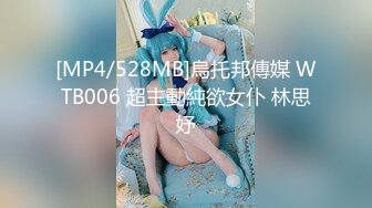 [MP4/528MB]烏托邦傳媒 WTB006 超主動純欲女仆 林思妤