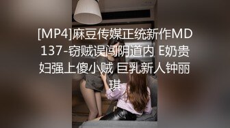 [MP4]麻豆传媒正统新作MD137-窃贼误闯阴道内 E奶贵妇强上傻小贼 巨乳新人钟丽琪