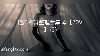 艳舞裸舞整理合集.零【70V】 (3)