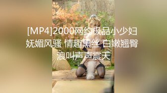 [MP4]2000网约极品小少妇 妩媚风骚 情趣黑丝 白嫩翘臀 浪叫声声震天