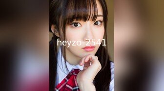 heyzo-2541