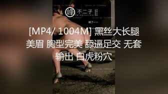 [MP4]【啪啪列车❤️深夜捷运末班车❤️行驶车厢内的两名陌生男子】