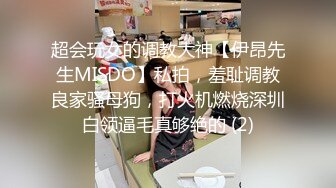 超会玩女的调教大神【伊昂先生MISDO】私拍，羞耻调教良家骚母狗，打火机燃烧深圳白领逼毛真够绝的 (2)