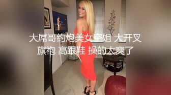 大屌哥约炮美女空姐 大开叉旗袍 高跟鞋 操的太爽了