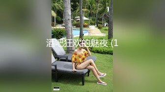 酒吧狂欢的魅夜 (1