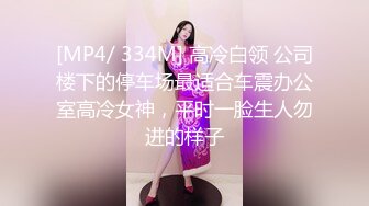 [MP4/ 334M] 高冷白领 公司楼下的停车场最适合车震办公室高冷女神，平时一脸生人勿进的样子