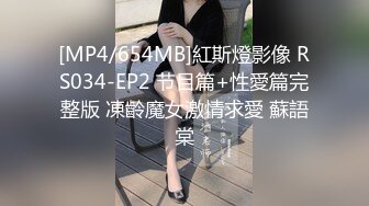 巨乳列传  - 乳之圣殿 各种巨乳第一视角【狠货高科技看简阶】