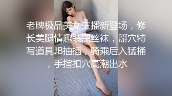 济南少妇会计（第三部）