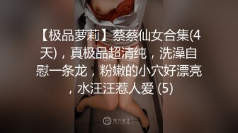 我公司领导美丽的鲍鱼