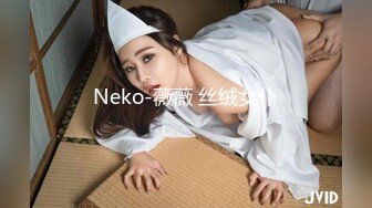 Neko-薇薇 丝绒女仆