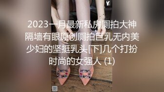 2023一月最新私房厕拍大神隔墙有眼原创厕拍巨乳无内美少妇的坚挺乳头[下]几个打扮时尚的女强人 (1)