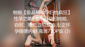 啪啪【极品稀缺孕妇也疯狂】性孕之美3全系列孕妇啪啪、自慰、喷奶自拍甄选 反正怀孕随便内射 高清720P版 (3)