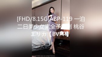 少妇和洋上司车震偷情 先扣她一逼淫水