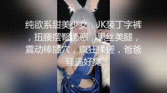 纯欲系甜美少女，JK装丁字裤，扭腰摆臀诱惑，黑丝美腿，震动棒插穴，疯狂揉搓，爸爸骚逼好爽