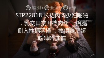 STP22818 长裙肉肉少妇啪啪 ，乳交口交开档肉丝 ，抬腿侧入抽插猛操 ，搞得爽了娇喘呻吟连连