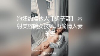 正片继续 看画面吧