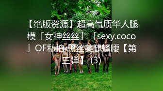 【绝版资源】超高气质华人腿模「女神丝丝」「sexy.coco」OF私拍 黑丝美腿蜂腰【第三弹】 (3)