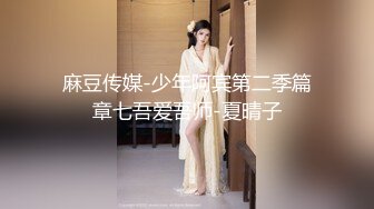 麻豆传媒-少年阿宾第二季篇章七吾爱吾师-夏晴子