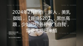 2024年2月新作，新人，美乳御姐，【姗姗520】，黑丝高跟，少妇已经各种放飞自我，需要大鸡巴来插