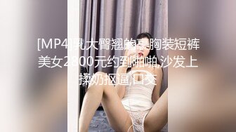 [MP4]麻豆传媒 MTVQ23 只是炮友关系 EP2 初次相遇巨乳洗面 啤啤