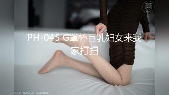 PH-045 G罩杯巨乳妇女来我家打扫